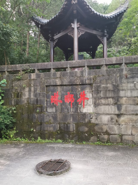 1564827640260048437.jpg 1.jpg